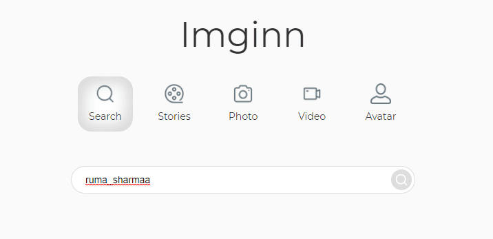 How To Use Imginn To Download Videos and Pictures From Instagram